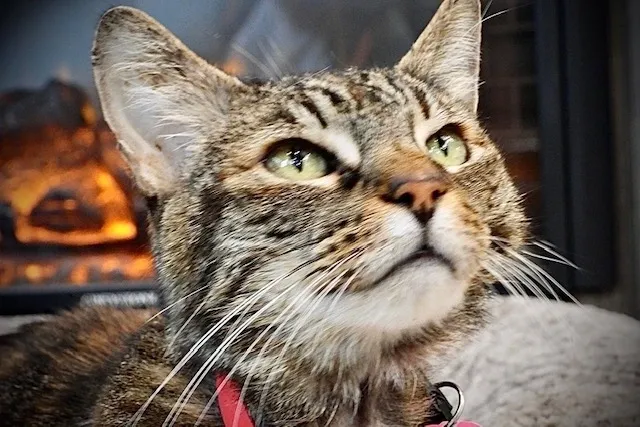 Coquihalla to Lake Country – 17 June 2022