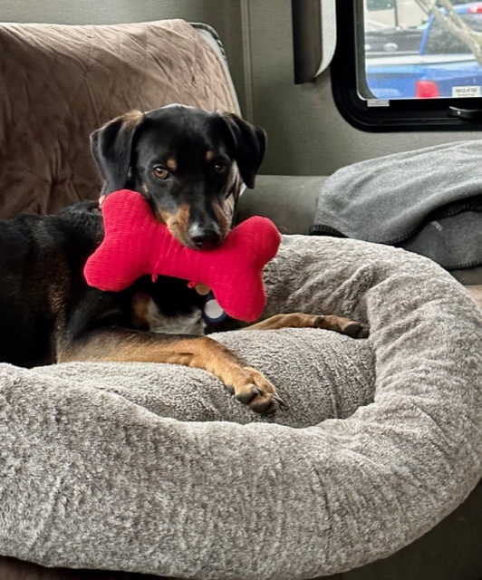 College Park to Freeland, Maryland – 11 April 2023