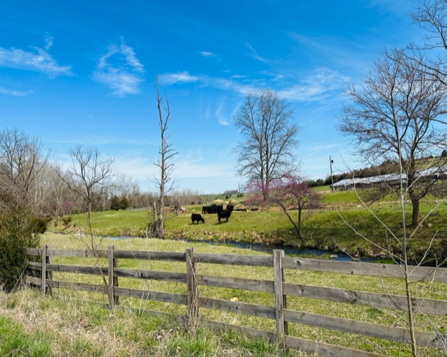 Natural Bridge to Broadway, Virginia – 30 March 2023