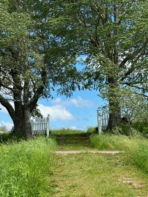 Antigonish to Little Bras d’Or, Nova Scotia – 28 June 2023