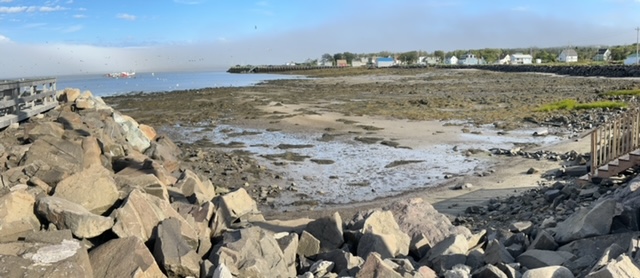 Bay of fundy