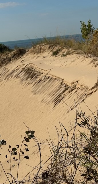 Indiana dunes