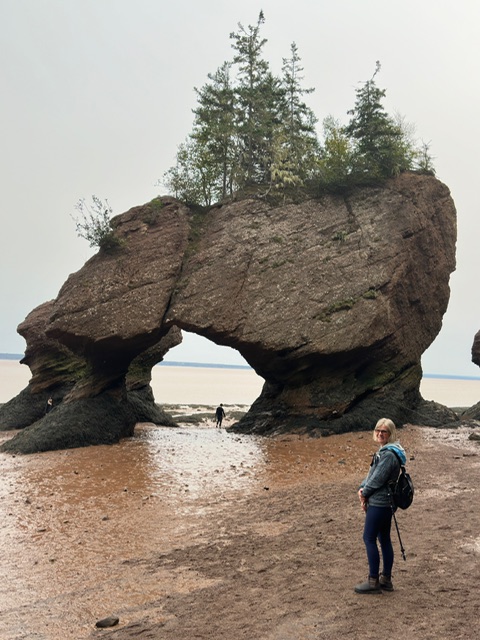 Hopewell Rocks