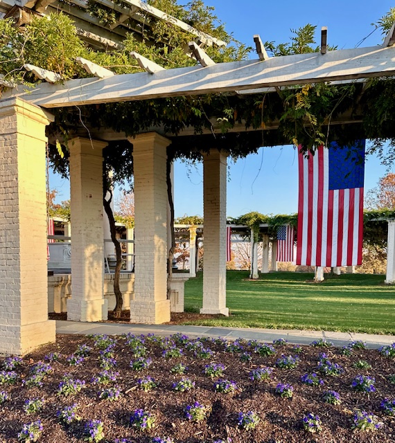 Arlington cemetery
