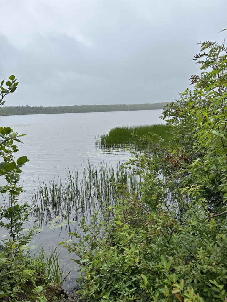 Corduory Pond