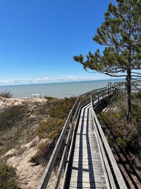 Pinery park