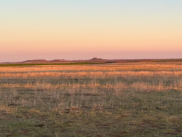 Lone mound ranch