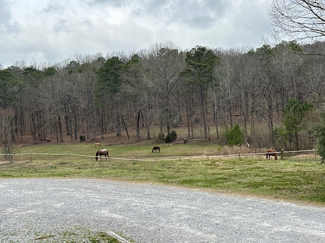 Oak mountain state park
