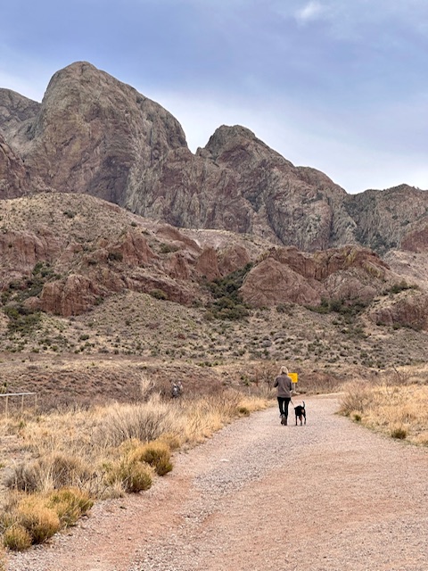 Organ mountains