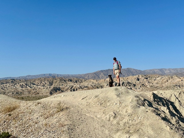 Palm Desert