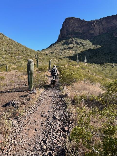 Picacho state park