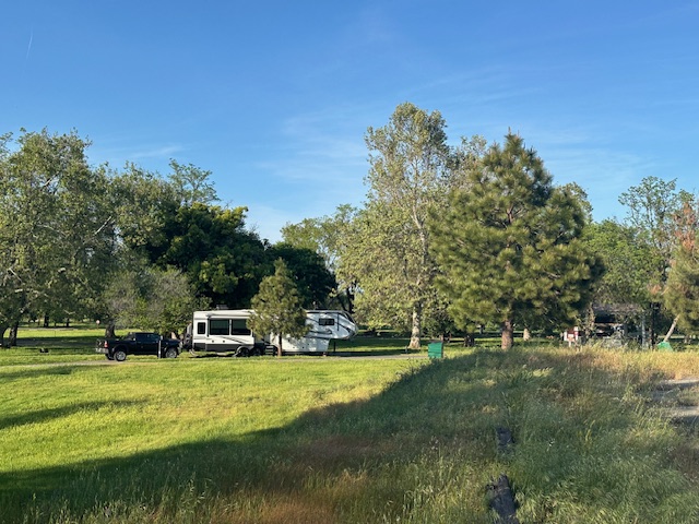 Sycamore Grove Campground - Cocktails & Campfires