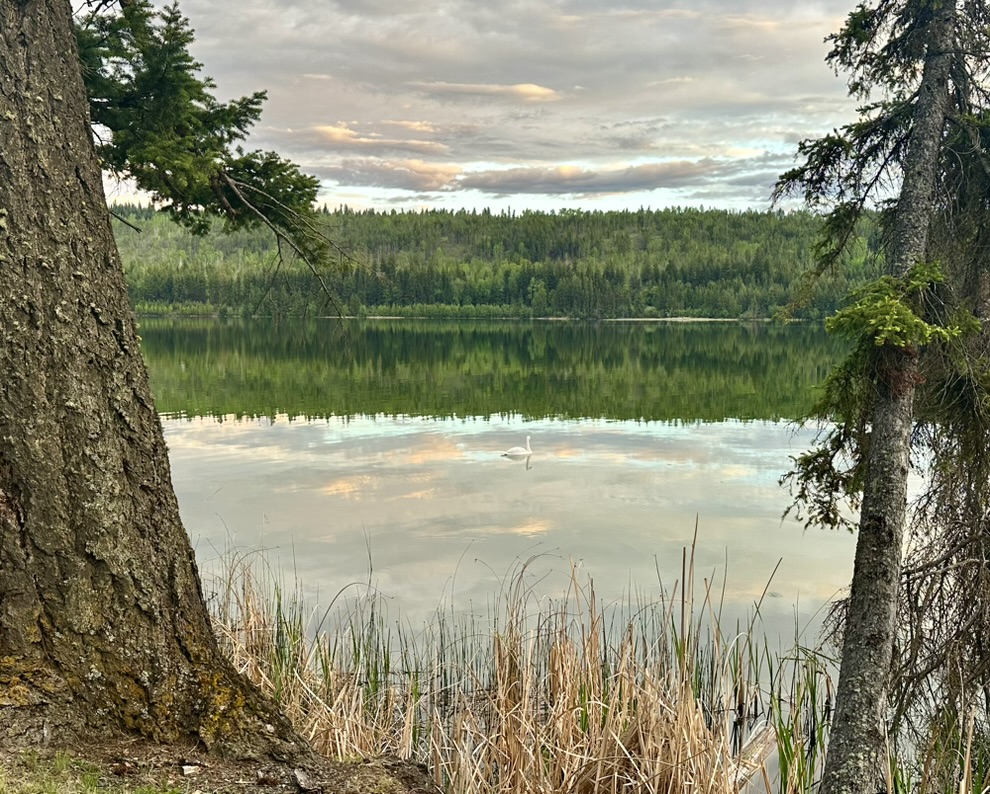 Lac La Hache