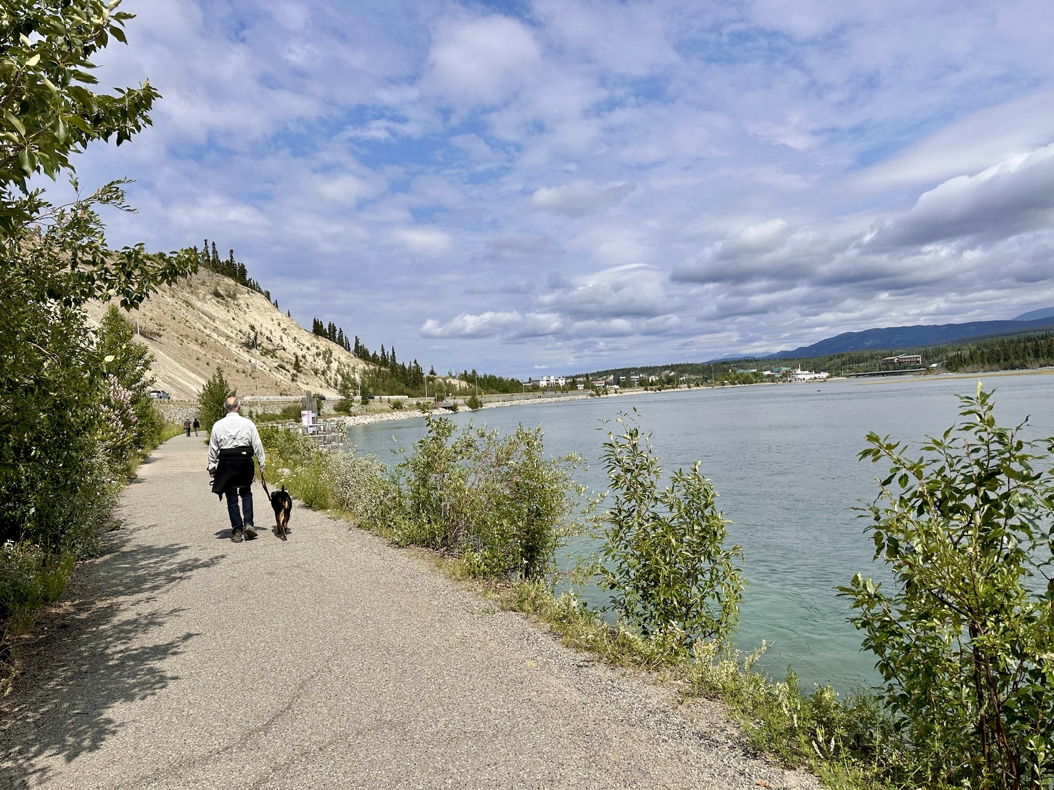 Whitehorse