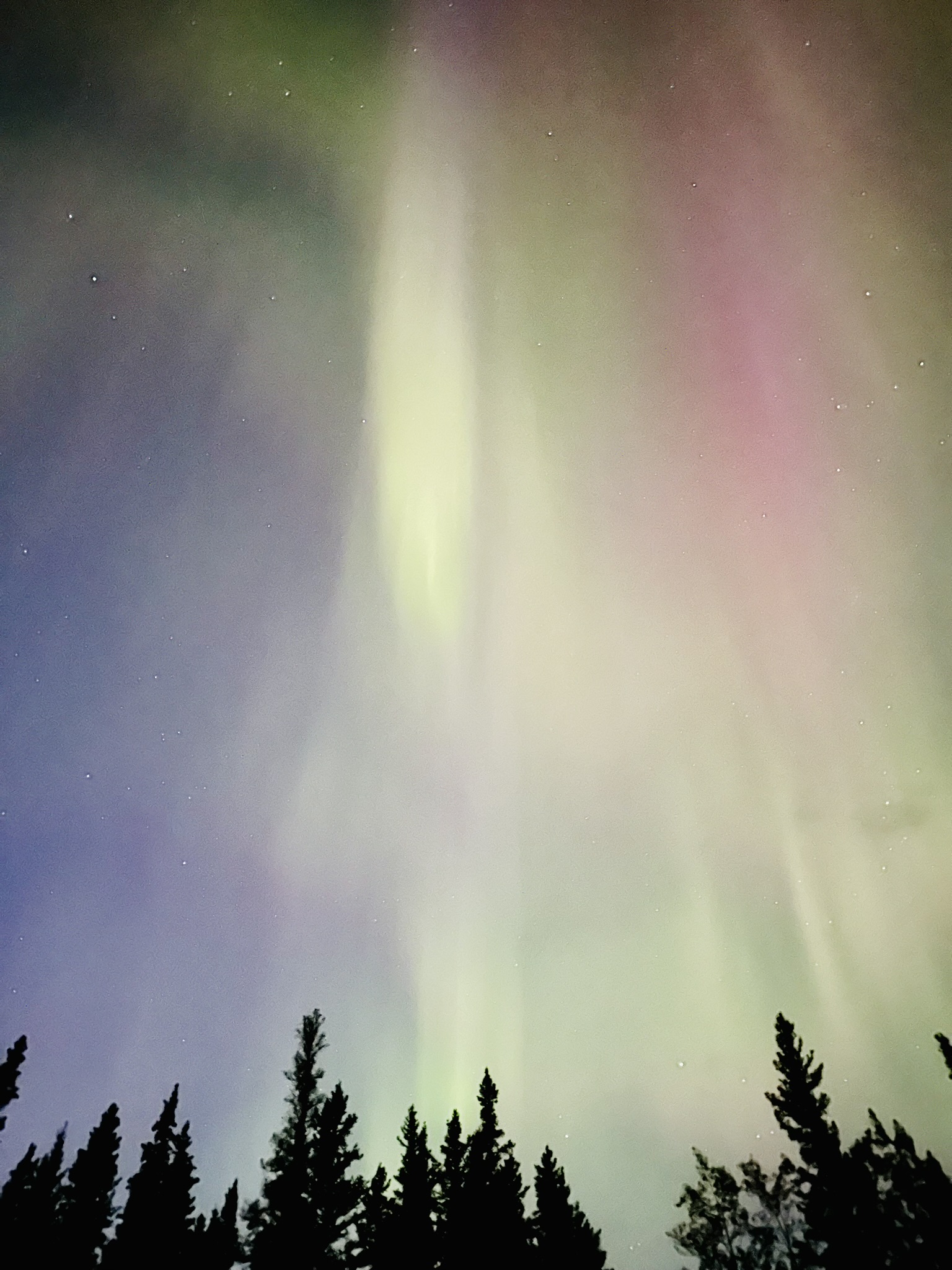 Northern Lights