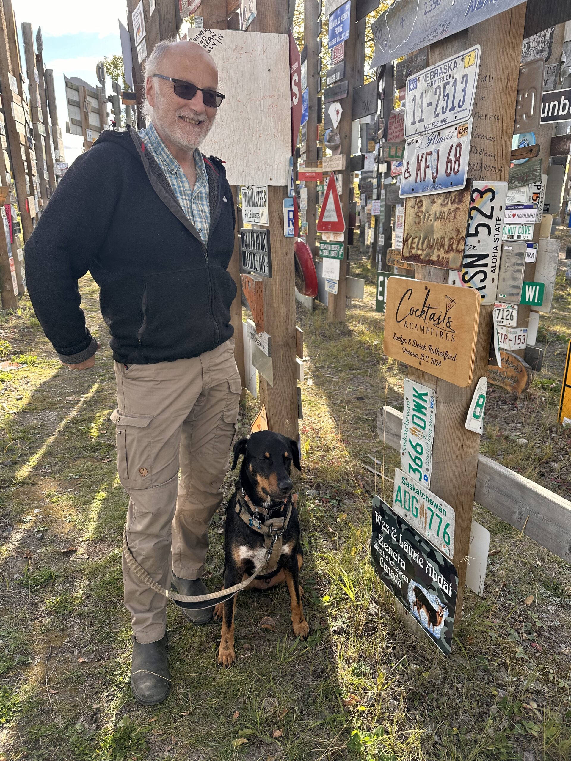 Signs forest