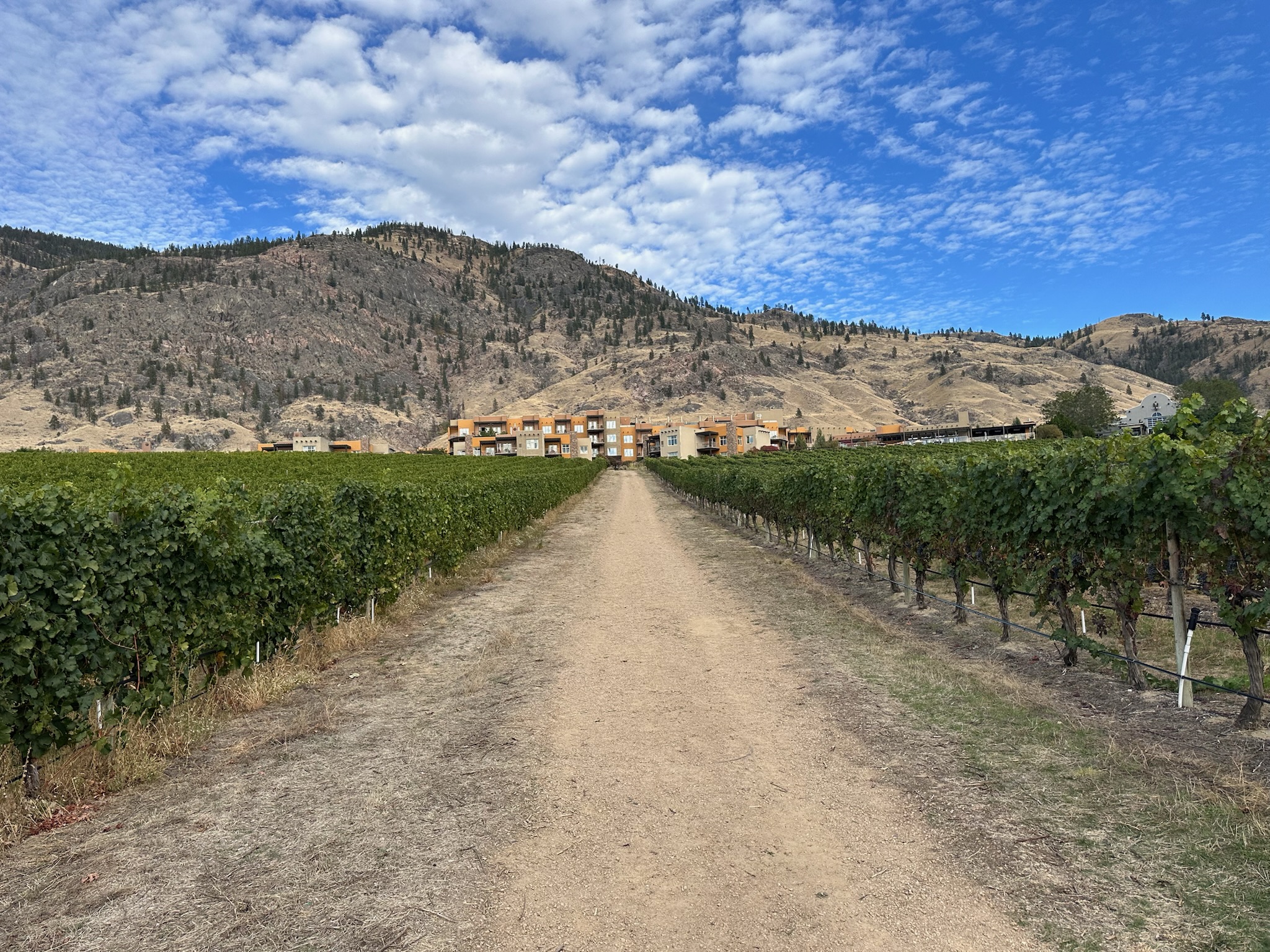 osoyoos